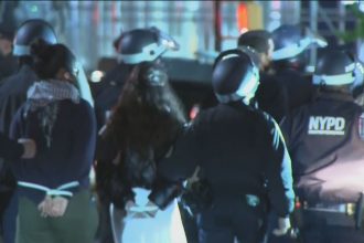 policial-dispara-acidentalmente-dentro-de-predio-de-universidade-de-nova-york-ao-retirar-manifestantes-pro-palestina