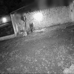 suspeitas-de-esfaquear-homem-que-negou-pix-apos-encontro-em-motel-sao-presas;-video