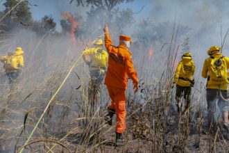 processo-seletivo-oferece-80-vagas-para-brigadistas-atuarem-em-incendios-florestais-no-tocantins