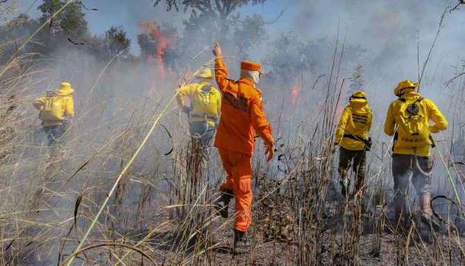 processo-seletivo-oferece-80-vagas-para-brigadistas-atuarem-em-incendios-florestais-no-tocantins