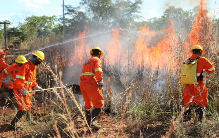 defesa-civil-municipal-abre-vagas-para-brigadistas-com-salarios-de-r$-1,9-mil;-saiba-como-concorrer