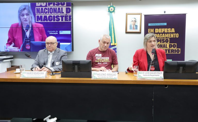 contratacao-de-temporarios-e-usada-para-descumprir-piso-salarial-dos-professores,-afirmam-participantes-de-debate-na-camara