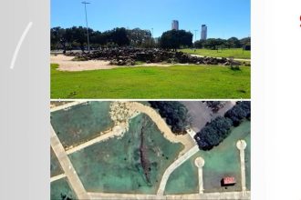 jacare-de-pedra,-queima-de-tambores-e-praca-monumental:-aos-35-anos-palmas-coleciona-historias-e-esbanja-cultura-nortista