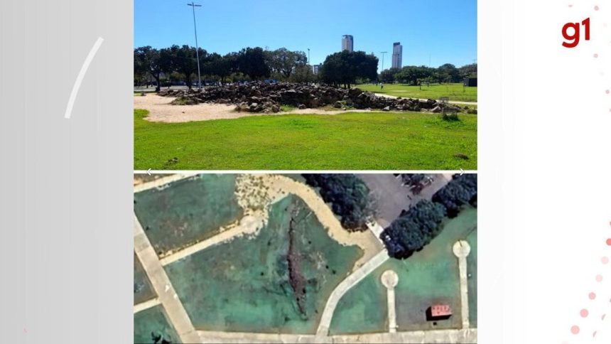 jacare-de-pedra,-queima-de-tambores-e-praca-monumental:-aos-35-anos-palmas-coleciona-historias-e-esbanja-cultura-nortista