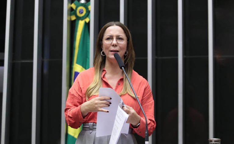 camara-aprova-emendas-do-senado-a-plano-de-metas-para-enfrentar-violencia-contra-mulher