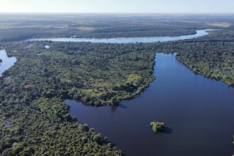 locais-de-pouso-de-aves-migratorias-serao-mapeados-para-prevencao-contra-a-gripe-aviaria