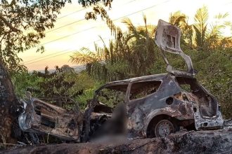 tecnico-de-enfermagem-morre-carbonizado-apos-carro-bater-em-arvore-e-pegar-fogo-na-to-336