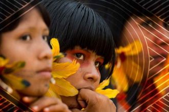 dos-16-deputados-da-comissao-yanomami,-15-nao-destinaram-emendas-especificas-para-os-povos-indigenas