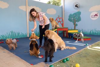 empreendedoras-investem-em-servicos-de-creche-e-ate-baba-para-pets;-setor-deve-crescer-quase-60%-no-tocantins