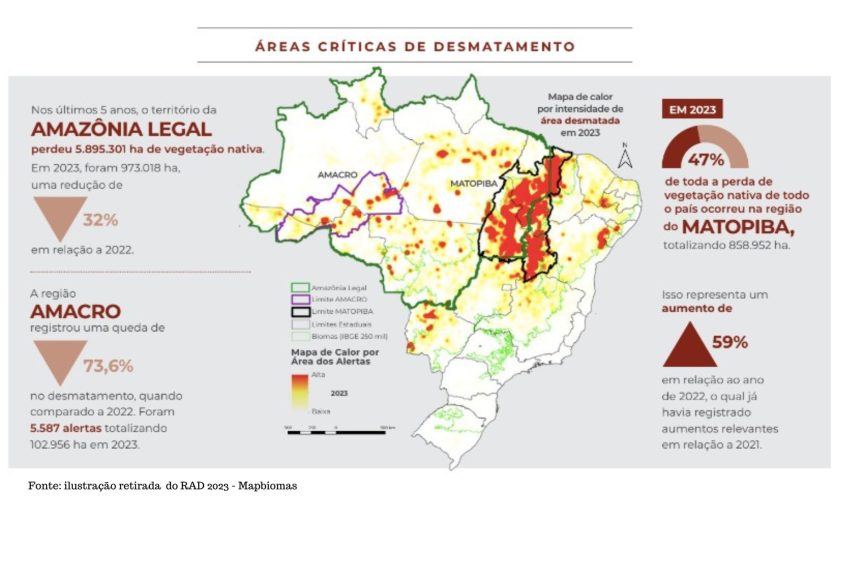 tocantins-perdeu-mais-de-26-hectares-de-mata-nativa-por-hora-em-2023,-diz-relatorio