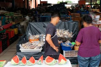 prefeitura-de-araguaina-abre-inscricoes-para-seminario-com-o-tema-“o-trabalho-infantil-que-ninguem-ve”