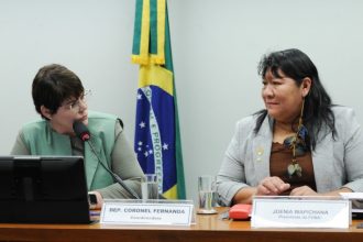 presidente-da-funai-defende-orcamento-maior-para-fundacao-de-apoio-a-povos-indigenas