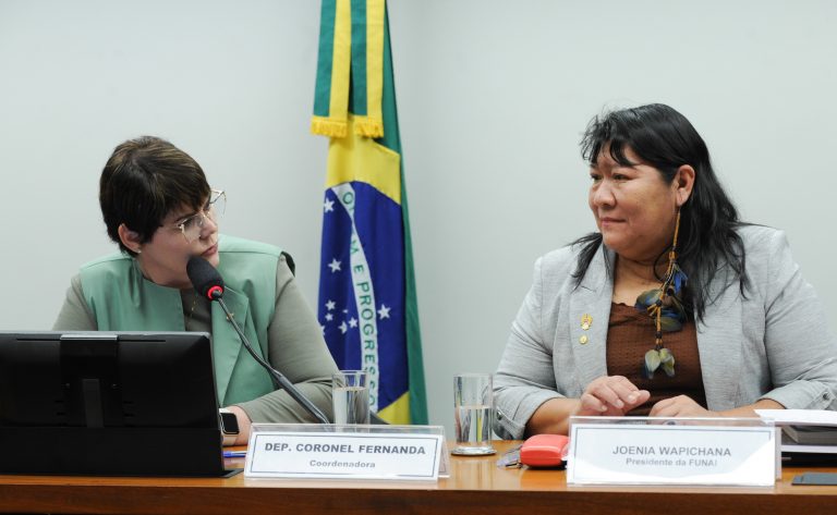 presidente-da-funai-defende-orcamento-maior-para-fundacao-de-apoio-a-povos-indigenas