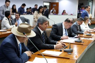 deputados-aprovam-pl-que-regulamenta-equoterapia-no-tocantins