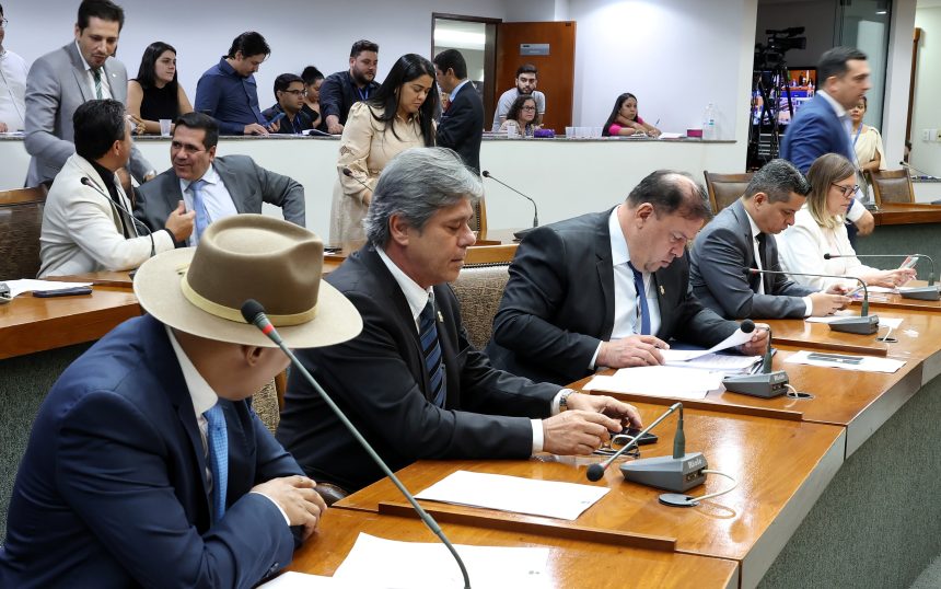 deputados-aprovam-pl-que-regulamenta-equoterapia-no-tocantins