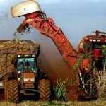 sem-bunge,-bp-buscara-expandir-no-brasil-em-etanol,-biogas-e-saf