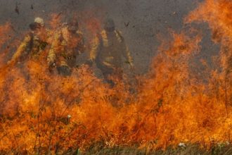 “estamos-em-uma-das-piores-situacoes”,-diz-marina-sobre-pantanal