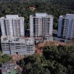 camaleonico,-cursino-incorpora-vizinhos,-como-klabin,-ipiranga-e-jardim-botanico