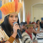 primeira-indigena-a-assumir-secretaria-dos-povos-originarios-e-tradicionais-e-exonerada