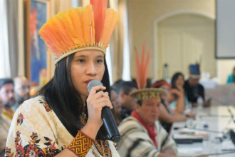 primeira-indigena-a-assumir-secretaria-dos-povos-originarios-e-tradicionais-e-exonerada