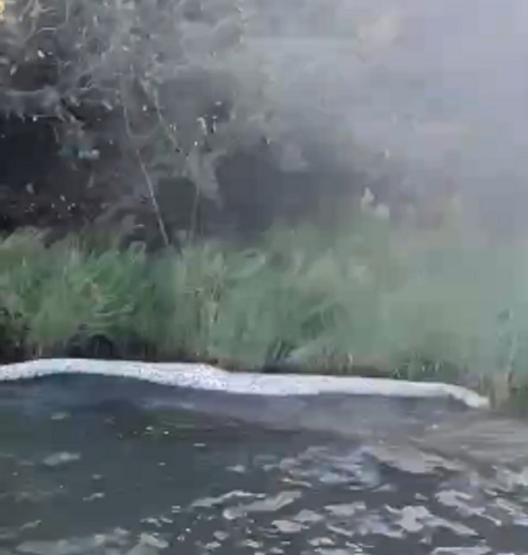 comerciante-que-encontrou-sucuri-gigante-morta-tambem-filmou-pele-de-cobra-em-lago;-video