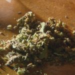 juiz-absolve-reu-flagrado-com-1g-de-maconha-na-cueca:-‘e-penalmente-irrelevante’