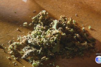 juiz-absolve-reu-flagrado-com-1g-de-maconha-na-cueca:-‘e-penalmente-irrelevante’