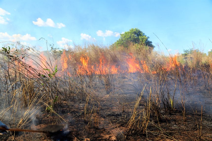 nenhum-incendio-comeca-grande:-araguaina-inicia-campanha-de-combate-as-queimadas