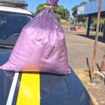 saco-cheio-de-cocaina-e-apreendido-pela-prf-dentro-de-encomenda