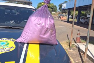 saco-cheio-de-cocaina-e-apreendido-pela-prf-dentro-de-encomenda