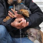 justica-reconhece-familia-multiespecie-e-devolve-cao-a-morador-de-rua