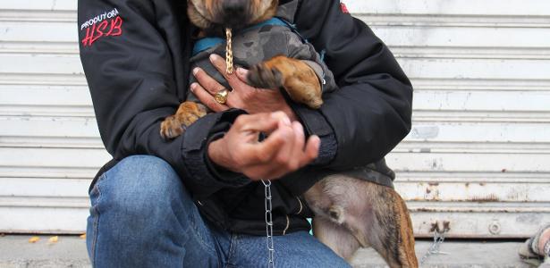 justica-reconhece-familia-multiespecie-e-devolve-cao-a-morador-de-rua