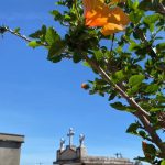 confira-os-falecimentos-desta-quinta-feira-(11)-em-apucarana-e-regiao