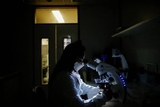 brasil-duplicou-o-numero-de-mestres-e-quase-triplicou-o-de-doutores,-mas-ainda-e-pouco