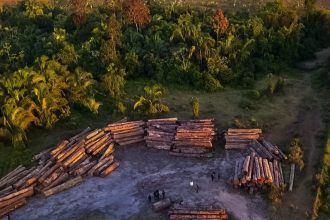 comissao-debate-moratoria-da-soja-e-da-carne-e-consequencias-para-os-municipios-da-amazonia-legal