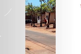 homem-morre-apos-ser-baleado-durante-surto-psicotico-no-meio-da-rua