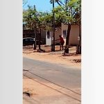 homem-baleado-e-morto-pela-pm-durante-surto-psicotico-e-identificado;-video