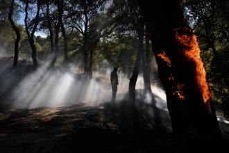 centro-e-sul-da-europa-sao-castigados-por-sucessivas-ondas-de-calor