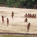 video-mostra-imagens-raras-de-tribo-isolada-na-amazonia;-ong-acredita-que-eles-estavam-a-procura-de-comida