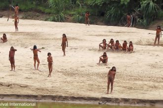 video-mostra-imagens-raras-de-tribo-isolada-na-amazonia;-ong-acredita-que-eles-estavam-a-procura-de-comida