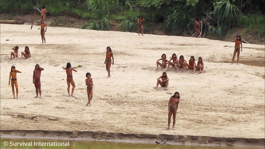 video-mostra-imagens-raras-de-tribo-isolada-na-amazonia;-ong-acredita-que-eles-estavam-a-procura-de-comida