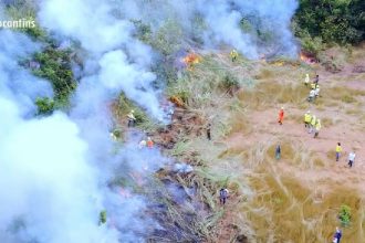 autorizacoes-para-uso-do-fogo-estao-suspensas-ate-outubro-para-evitar-incendios-florestais