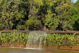 tomar-banho-na-agua-do-parque-cesamar-e-proibido;-saiba-por-que