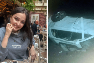 empresaria-morre-apos-carro-colidir-com-javali-em-rodovia-da-turquia