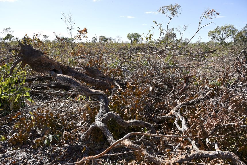 justica-condena-nove-pessoas-e-aplica-r$-17-milhoes-em-multas-por-crimes-ambientais