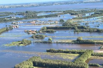 medida-provisoria-garante-repactuacao-de-dividas-rurais-no-rio-grande-do-sul