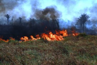 nova-lei-define-regras-para-uso-do-fogo-em-areas-rurais