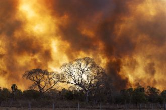 ministerio-espera-que-investigacao-criminal-ajude-a-dissuadir-responsaveis-por-queimadas-no-pantanal