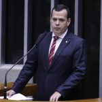 projeto-permite-que-abrigos-para-animais-obtenham-certificado-de-entidade-beneficente