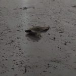 nao-adianta-limpar,-da-5-minutos-esta-sujo,-diz-moradora-de-area-com-fumaca